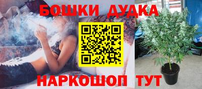 spice Краснознаменск